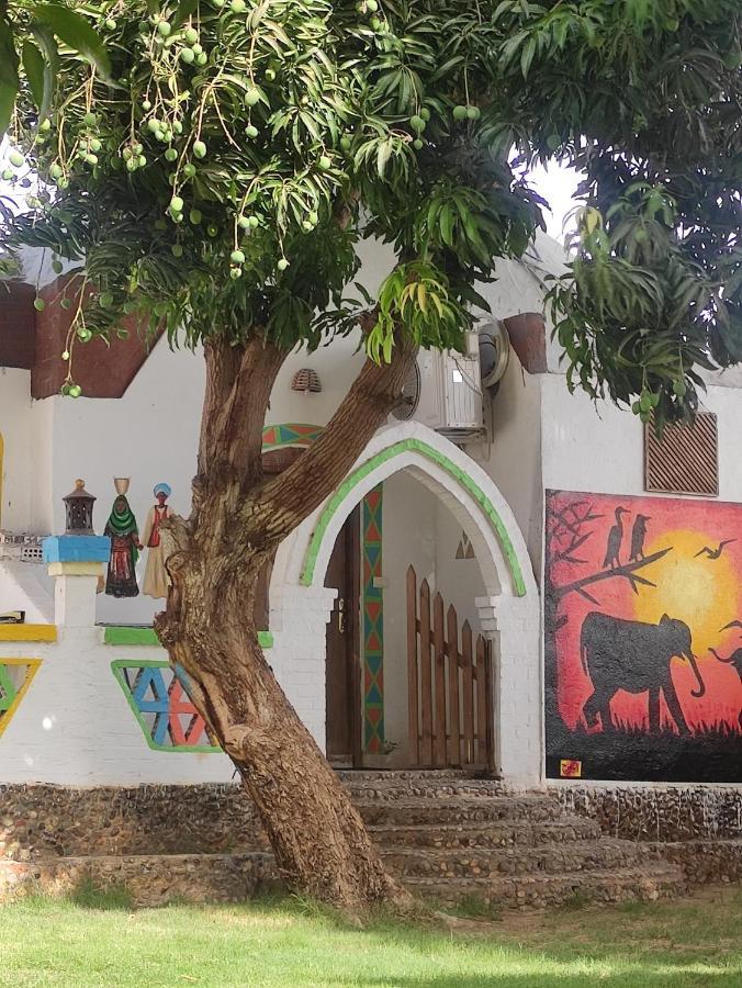 Maghrabi'S Guest House أسوان المظهر الخارجي الصورة