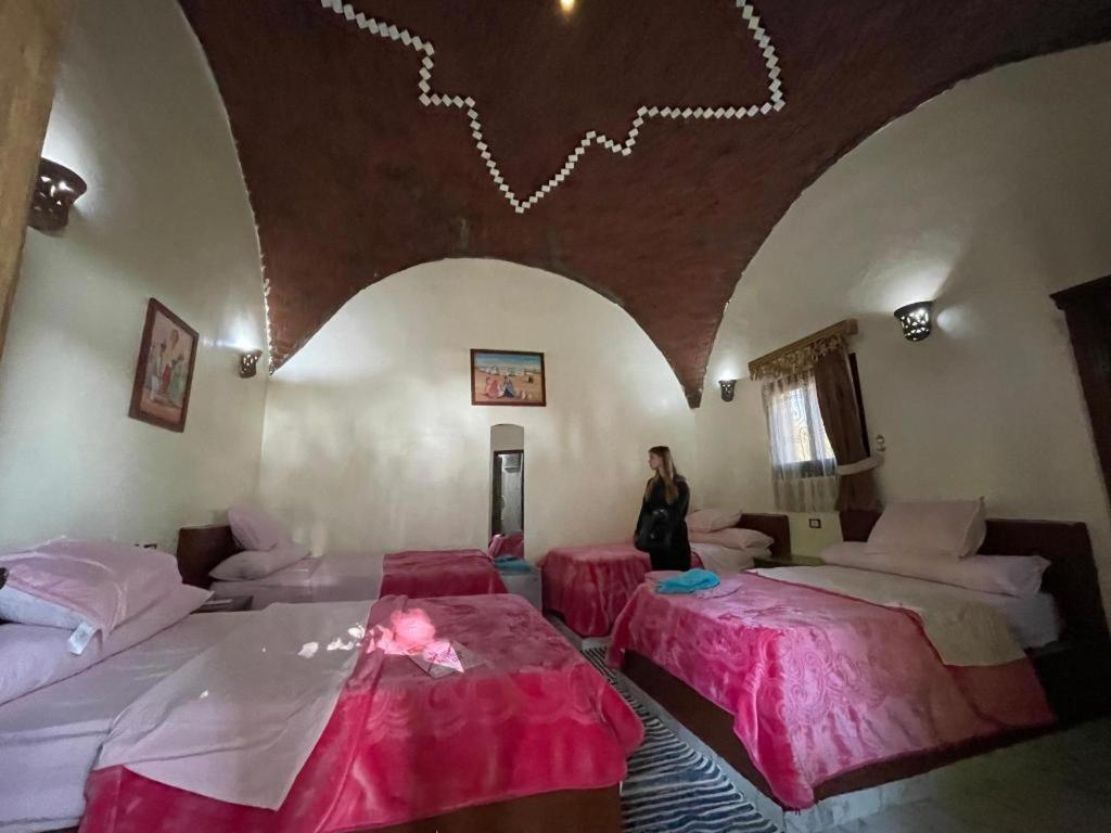 Maghrabi'S Guest House أسوان المظهر الخارجي الصورة